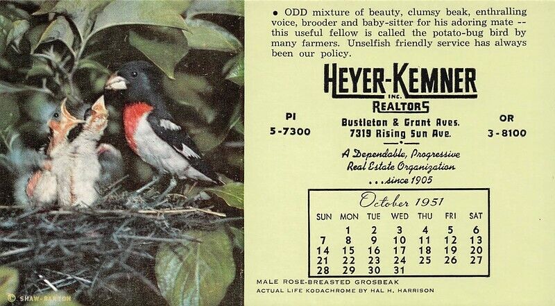 Male Rose Breasted Grosbeak Heyer Kemner Realtors Calendar Sm Blotter