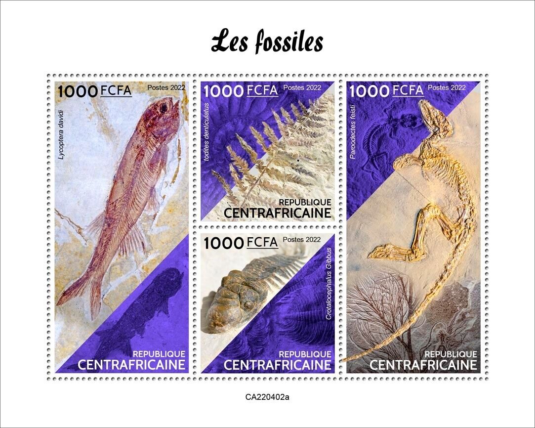 Fossils Mnh Stamps 2022 Central African Republic M/s